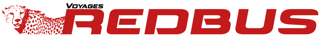 Logo RedBus