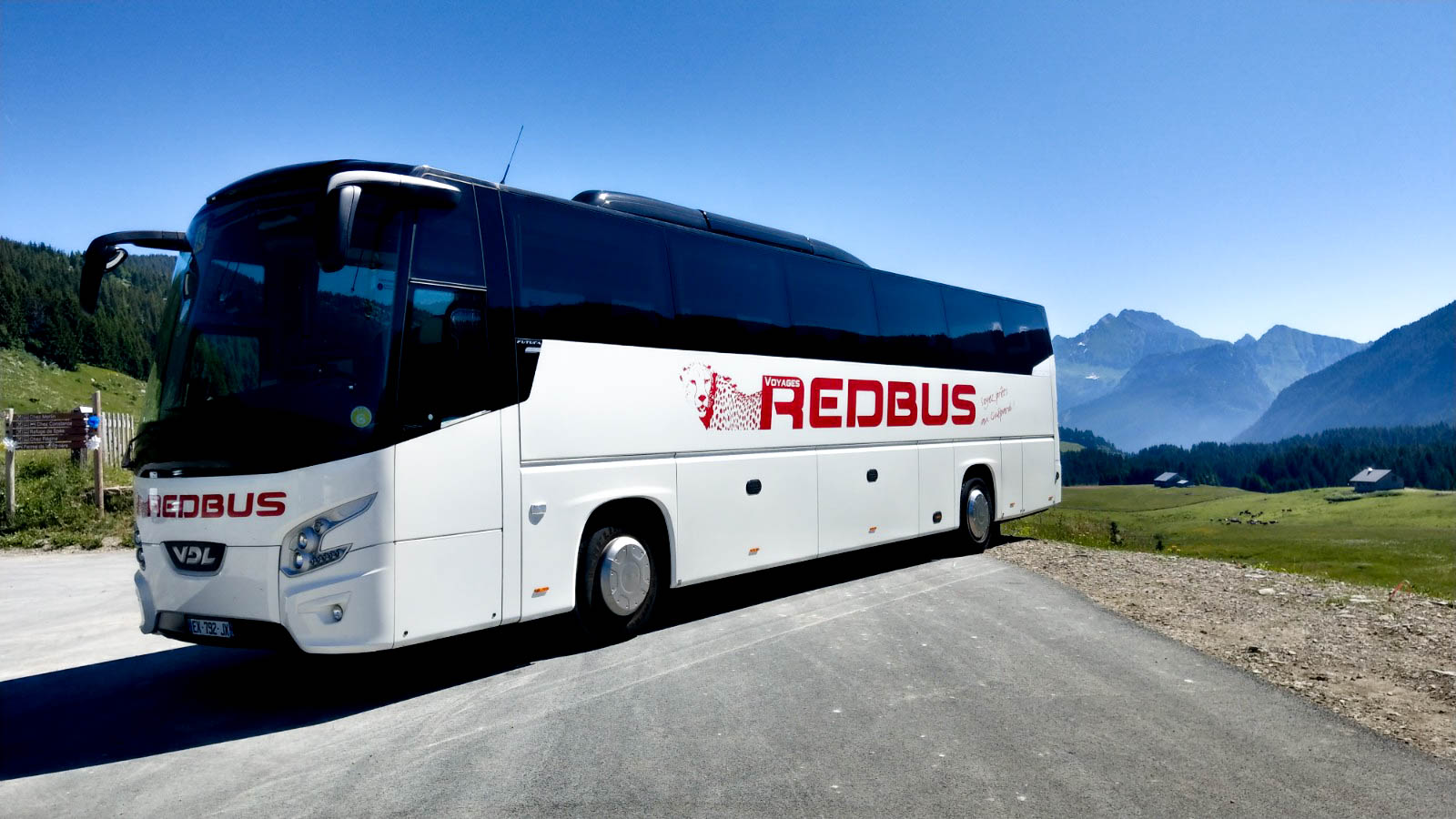 Car de profil format portrait